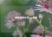 德信德州扑克ante设置