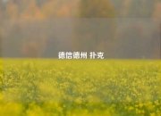 德信德州 扑克