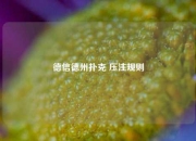 德信德州扑克 压注规则