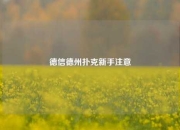 德信德州扑克新手注意