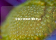 有限注德信德州扑克pdf