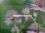 德信德州扑克2的大小
