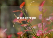 德信德州扑克艳照