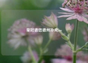 皇冠德信德州扑克ios