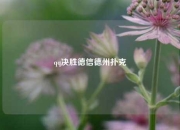 qq决胜德信德州扑克