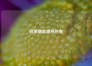 冠军德信德州扑克