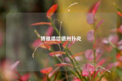 博雅德信德州扑克