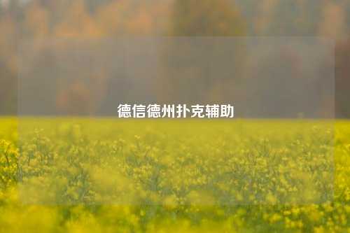 德信德州扑克辅助