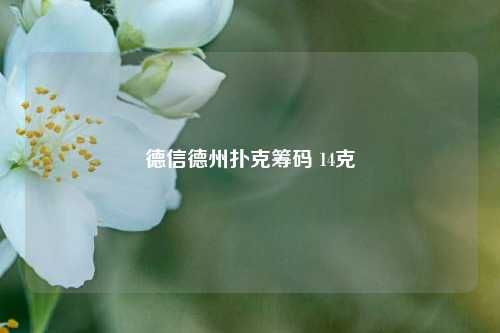 德信德州扑克筹码 14克