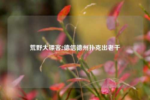 荒野大镖客2德信德州扑克出老千