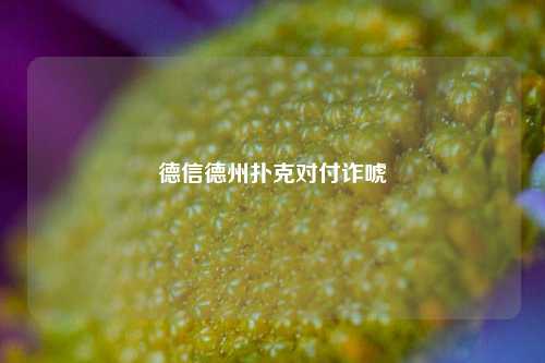 德信德州扑克对付诈唬