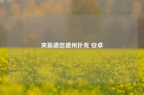 爽赢德信德州扑克 安卓