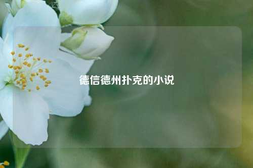 德信德州扑克的小说