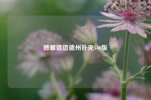 博雅德信德州扑克540版