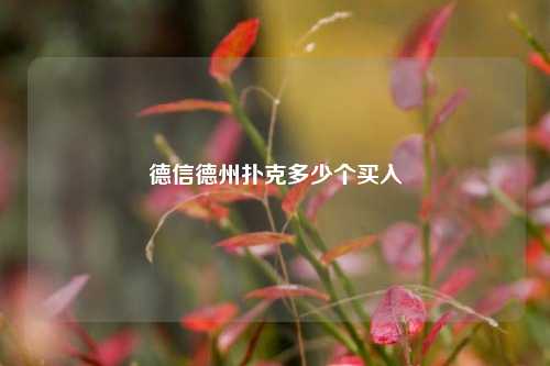 德信德州扑克多少个买入