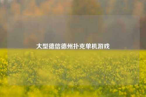 大型德信德州扑克单机游戏