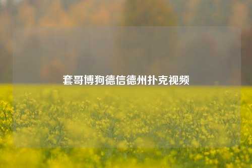 套哥博狗德信德州扑克视频