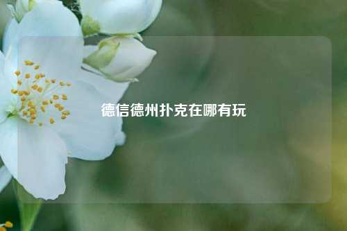 德信德州扑克在哪有玩