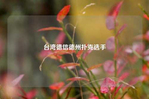 台湾德信德州扑克选手