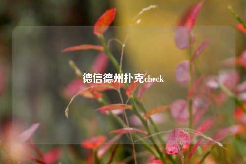 德信德州扑克check