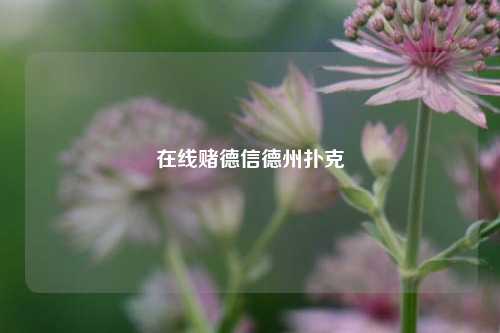 在线赌德信德州扑克