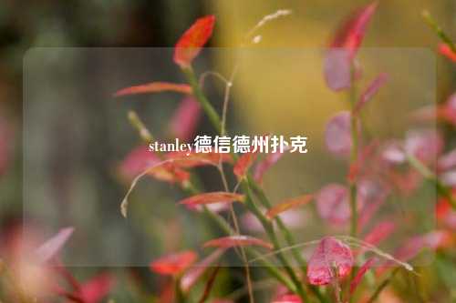 stanley德信德州扑克
