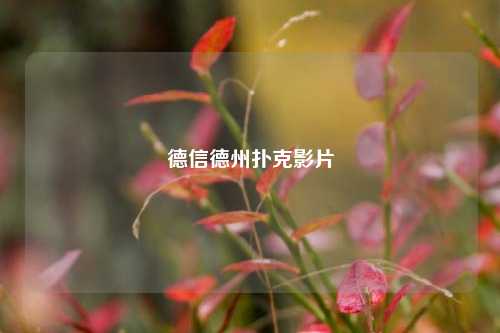 德信德州扑克影片