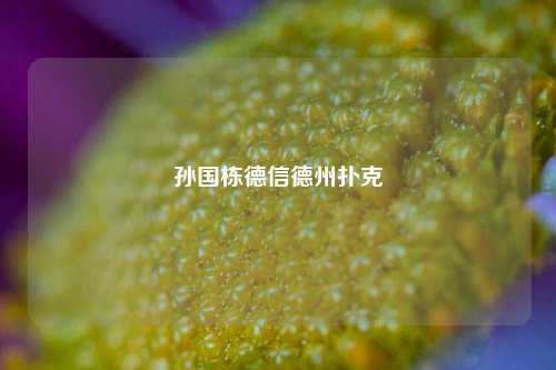 孙国栋德信德州扑克