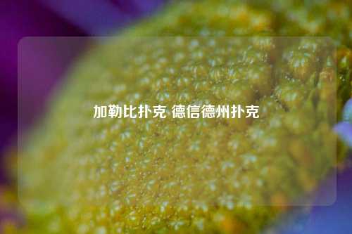 加勒比扑克 德信德州扑克