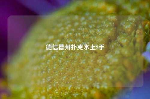 德信德州扑克水上2手