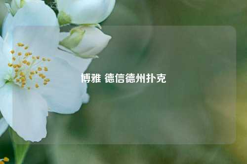 博雅 德信德州扑克