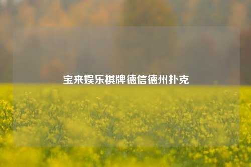 宝来娱乐棋牌德信德州扑克