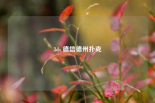 3ds 德信德州扑克