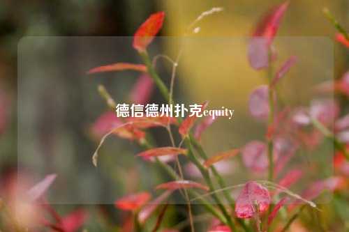 德信德州扑克equity