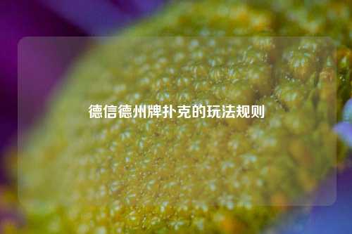 德信德州牌扑克的玩法规则