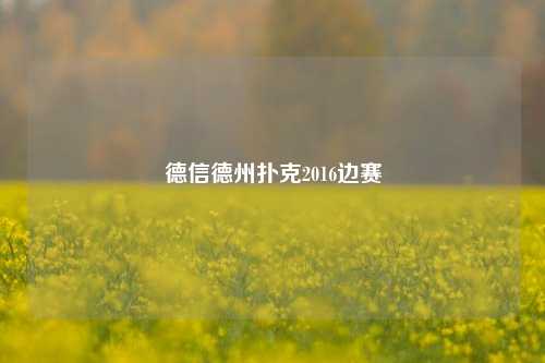 德信德州扑克2016边赛