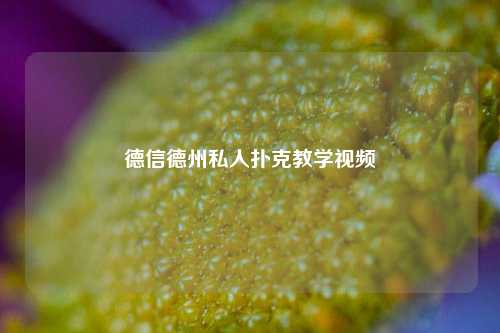 德信德州私人扑克教学视频