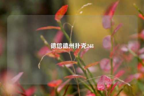 德信德州扑克248