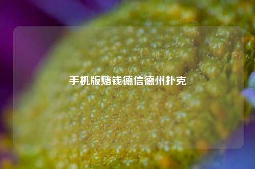 手机版赌钱德信德州扑克