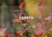 外围直播平台
