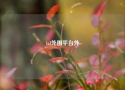 lol外围平台外