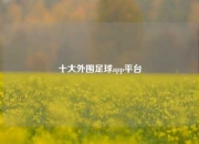 十大外围足球app平台
