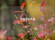 外围平台大全