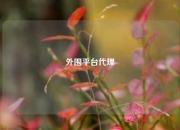 外围平台代理