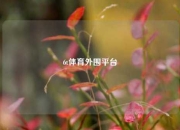 6t体育外围平台