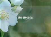 德信德州扑克ai