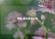 博雅 德信德州扑克