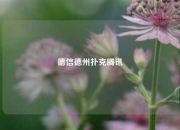 德信德州扑克腾讯