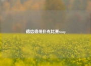 德信德州扑克比赛wsop