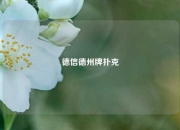 德信德州牌扑克